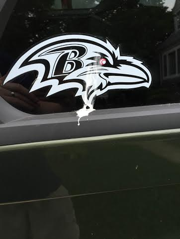 Illustration for article titled Why Your Team Sucks 2015: Baltimore Ravens